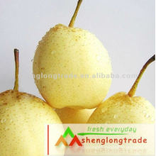 Fresh Sweet Pear (Sweet Crisp)